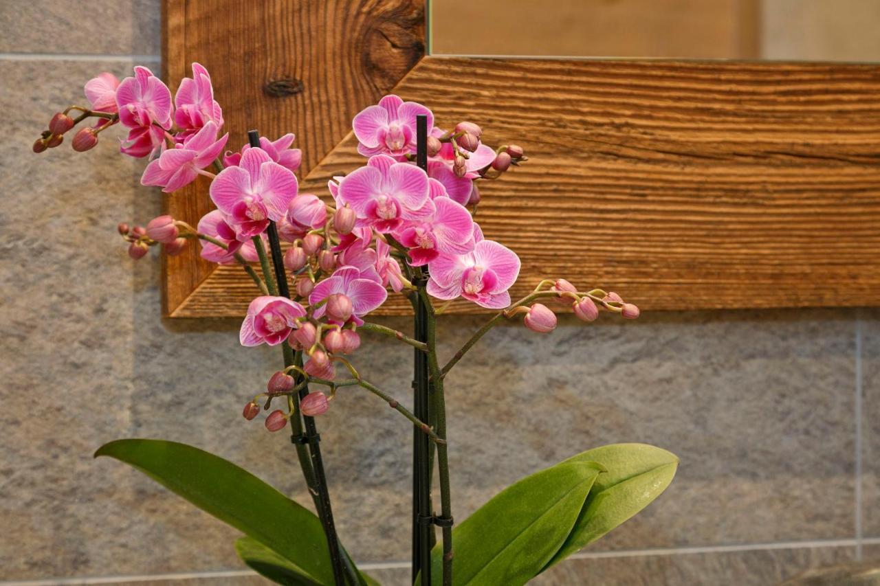 Innerluferhof 里菲亚诺 外观 照片